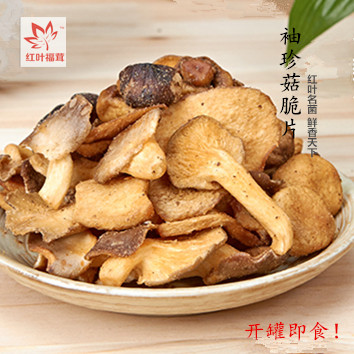 野生黃牛肝菌
