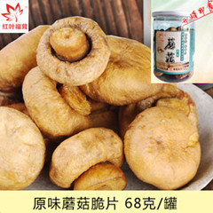 蘑菇脆片 蘑菇脆片